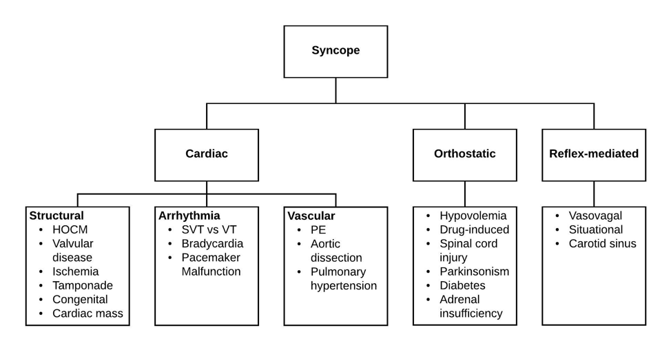 08-transient-loss-of-consciousness-hospital-handbook