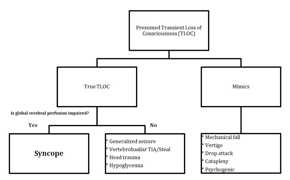 Transient Loss Of Consciousness Is Called